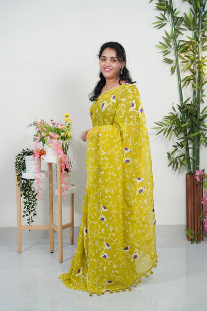 Space silk embroidery cutwork saree-SLS58