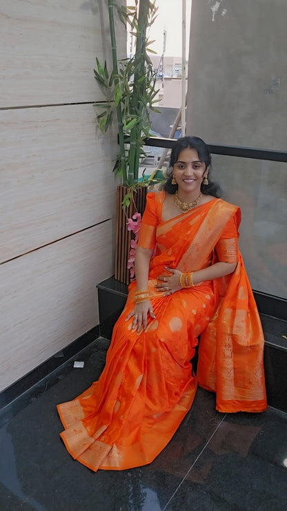 Banarasi Mushroom silk saree- SLS43