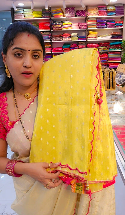 Saree un stiched blouse code 675