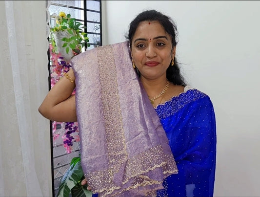 Saree un stiched blouse code SLS 456