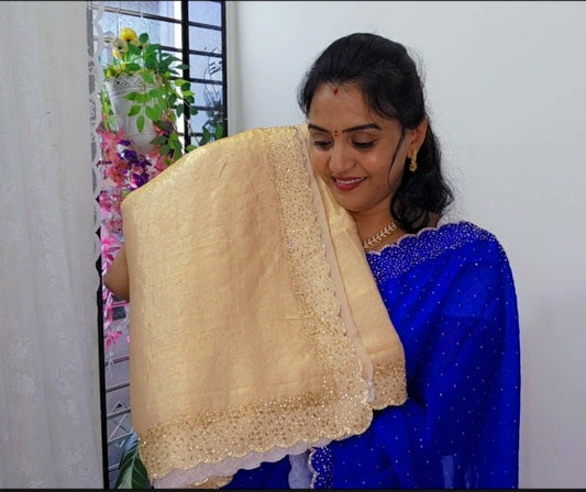 Saree un stiched blouse code SLS 460